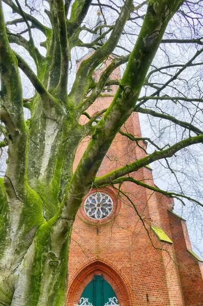 Baum Und Historischer Kirchturm Der Papenburger Innenstadt — Stockfoto