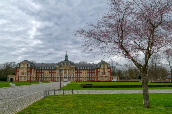 Historisch Electoraal Kasteel Muenster Westfalen — Stockfoto