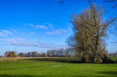 Almanya 'nın Reeser Meer göl bölgesindeki çayırlar, tarlalar ve ağaçlar