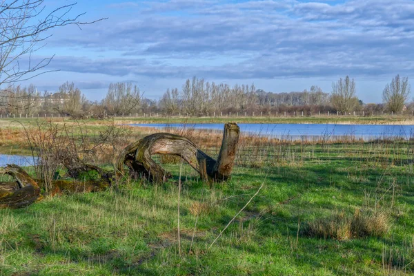 Paisaje Naturaleza Del Lago Distrito Del Lago Reeser Meer Imágenes de stock libres de derechos