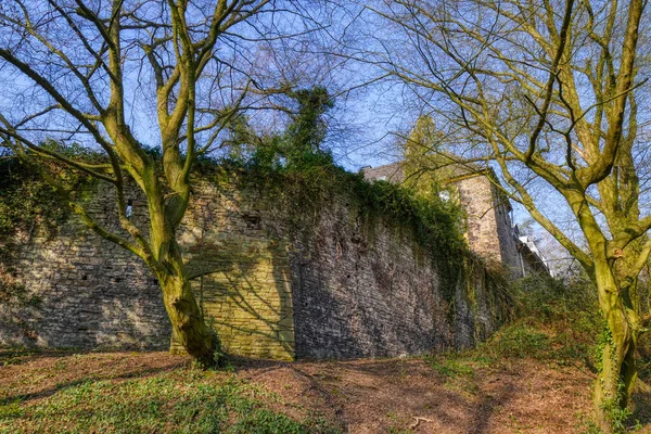 Castelo Medieval Uma Floresta Junto Rio Ruhr Essen Horst — Fotografia de Stock