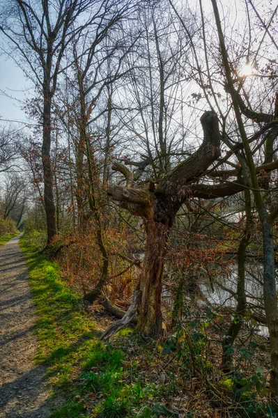 Trilha Caminhada Nas Margens Rio Ruhr Entre Essen Bochum — Fotografia de Stock