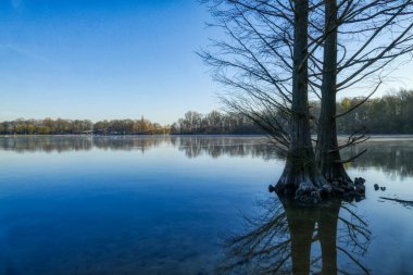 Almanya 'da Duisburg' da Seenplatte gölü bölgesinde bir göl manzarası