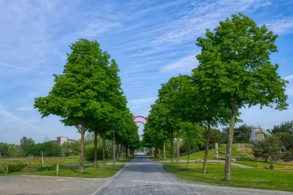Callejón Con Árboles Parque Infantil Parque Público Gelsenkirchen — Foto de Stock