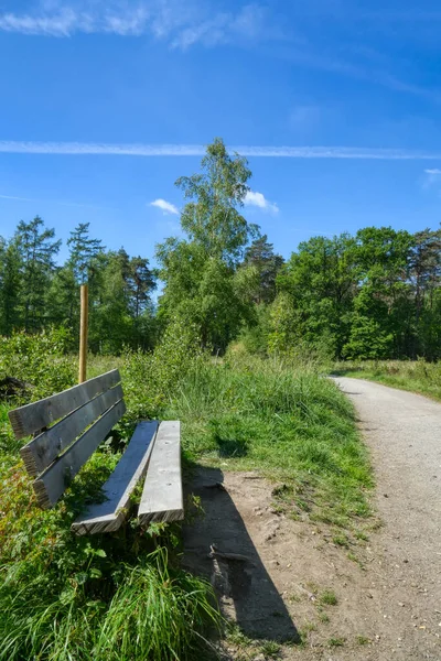ソリンゲン近郊のOligser Heideのヘッドランドにあるベンチとハイキングコース — ストック写真