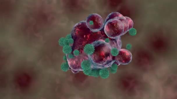 Анимация Красного Микроорганизма Атакуемого Зелеными Антителами Вирусами Организм Пульсирует Снижается — стоковое видео