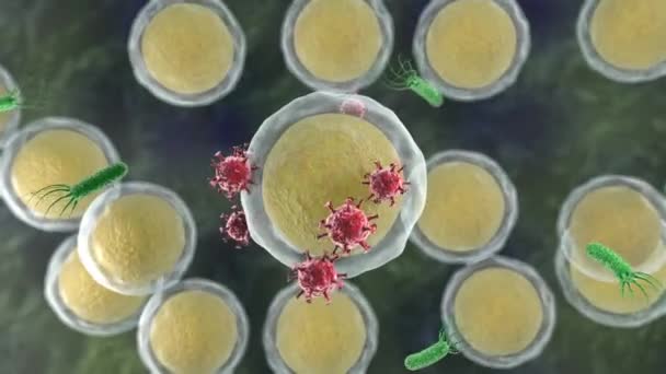 Animation 3D de l'infection par le coronavirus des cellules du corps. On tombe malade et tout le monde meurt. Responsabilité collective. Animation 4K pour matériel médical et publicitaire et bannières .