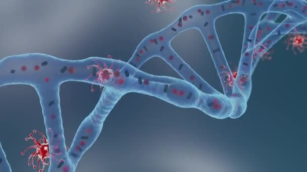 Animação Uma Molécula Dna Com Uma Textura Transparente Dentro Molécula — Vídeo de Stock