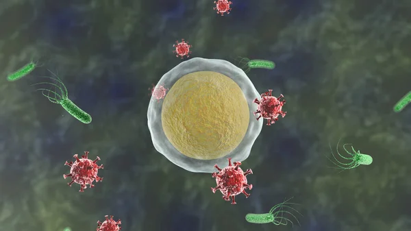 3D rendering of a cell that is attacked by viruses. The idea of immunity, the fight for the life of the body. Coronavirus in action. Medical background, microorganisms.