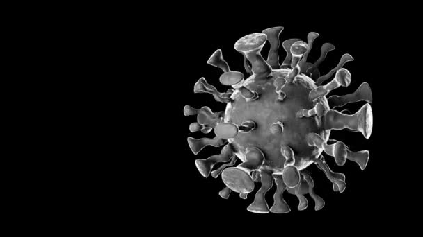 Animación Extraño Virus Fondo Negro Con Canal Alfa Coronavirus China — Vídeo de stock