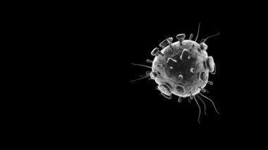 Ay aracına benzeyen siyah bir virüsün 3 boyutlu animasyonu. Asya 'dan Coronavirus, covid-19. Tıbbi ve bilimsel belgeler, raporlar ve pankartlar için alfa kanalı ile 4K animasyon.