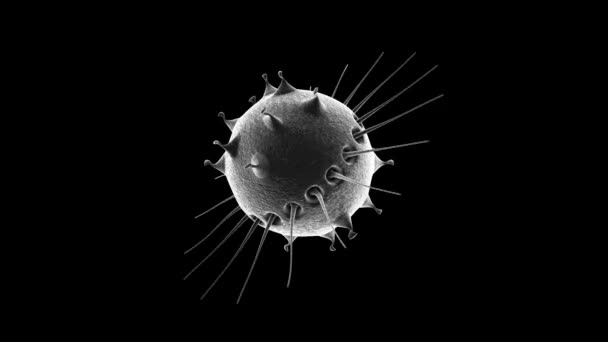 Animazione Terribile Virus Batterio Monocromatico Con Lunghi Tentacoli Covid Ruota — Video Stock