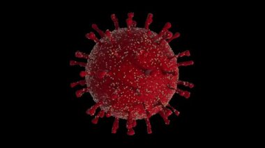 Kırmızı Coronavirus covid-19 'un 3 boyutlu animasyonu, alfa kanalı olan siyah arkaplandaki bir virüs. Tıbbi ve bilimsel sunumlar ve kompozisyonlar için 4K animasyon.