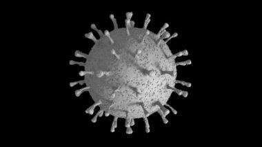 Covid-19 Coronavirus 'un 3 boyutlu animasyonu, alfa kanallı siyah bir arka planda. Reklam, bilgilendirme ve tıbbi kompozisyonlar için 4K animasyon.