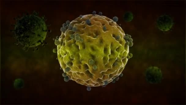 Yuvarlak Virüsün Boyutlu Animasyonu Antikor Saldırısı Bağışıklık Sisteminin Işi Ncov — Stok video
