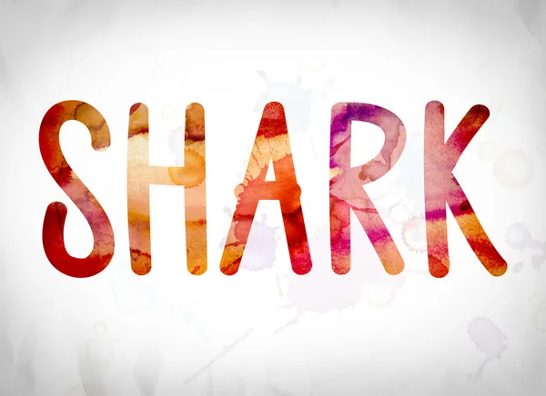 Shark Concept aquarel WordArt — Stockfoto