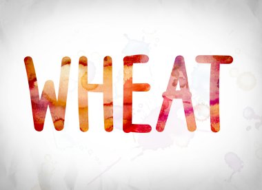 Buğday kavramı suluboya Word Art