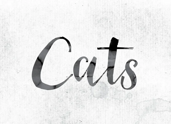 Cats Concept Painted in Ink — Stock Photo, Image