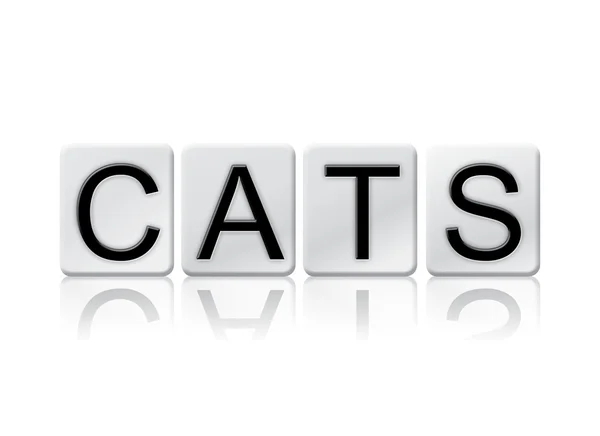 Cats Isolated Tiled Letters Concept and Theme — Φωτογραφία Αρχείου