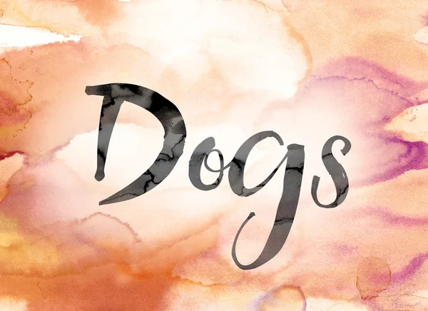 Hunde bunte Aquarell- und Tuschewortkunst — Stockfoto