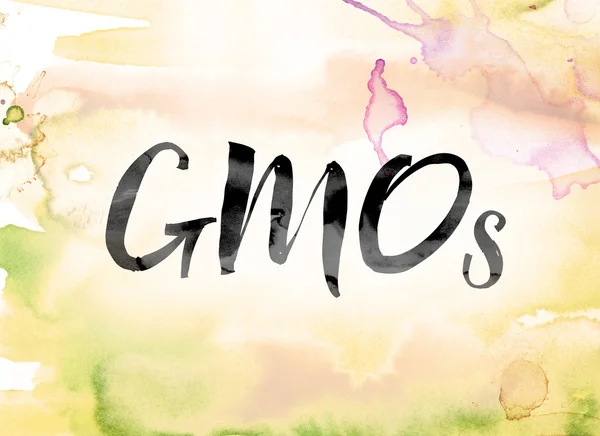 Gmos 다채로운 수채화 물감 및 잉크 단어 예술 — 스톡 사진