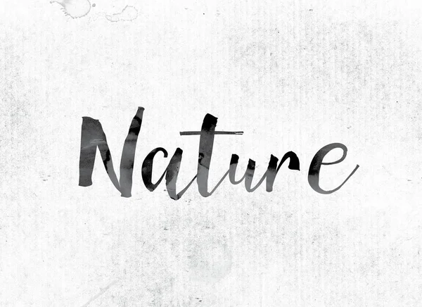 Koncepcja natury malowane tuszem — Zdjęcie stockowe