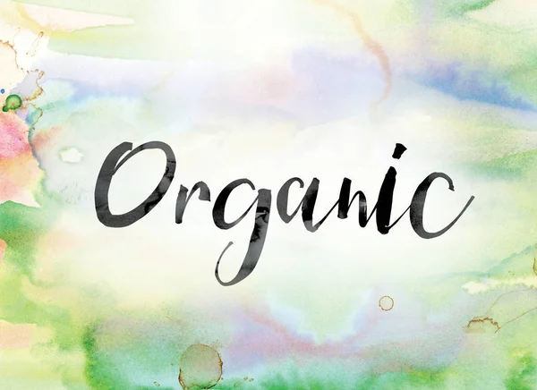 Organic Colorful Watercolor and Ink Word Art — Stock Photo, Image