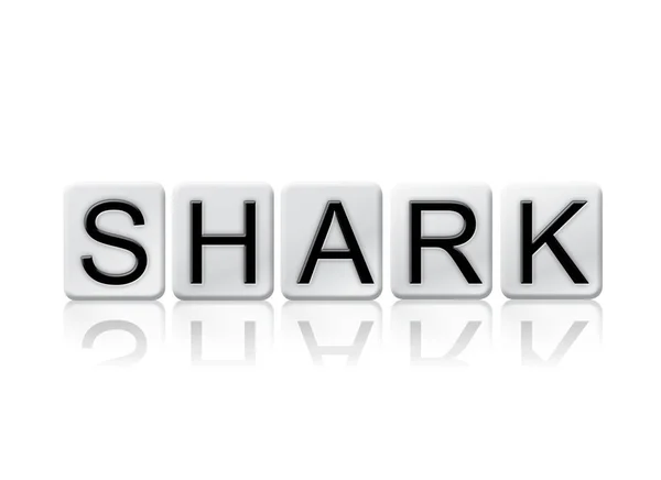 サメがタイル張りの文字を分離したコンセプトとテーマ — ストック写真