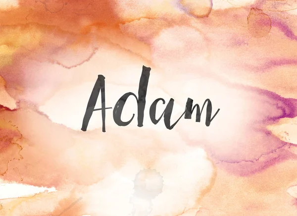 Adam Concept akvarel a tušové malby — Stock fotografie