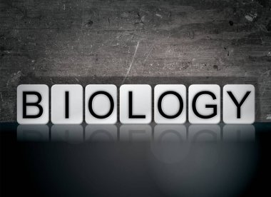 Biyoloji kavramı kelime döşenir