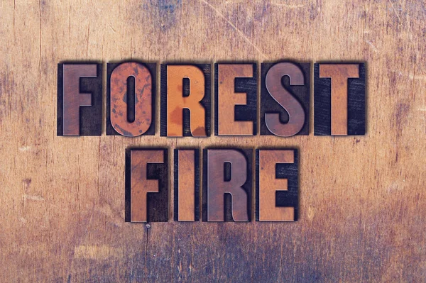 Floresta fogo tema Letterpress palavra sobre fundo de madeira — Fotografia de Stock