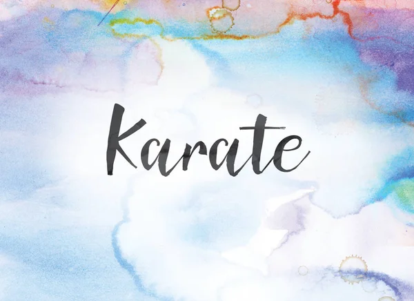 Koncept akvarel karate a tušové malby — Stock fotografie