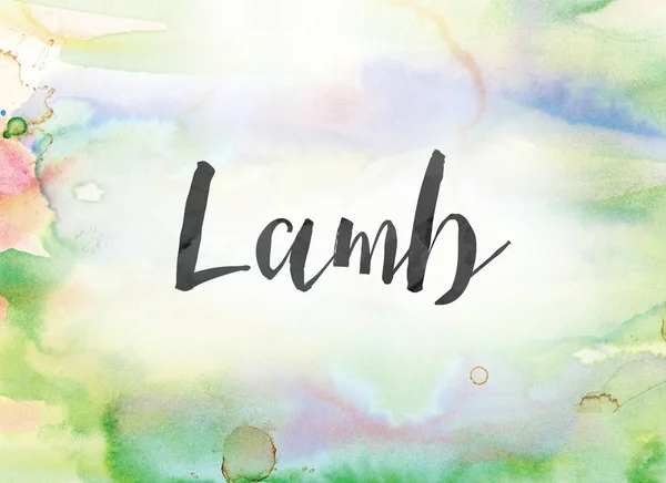 Lamb koncept akvarel a tušové malby — Stock fotografie