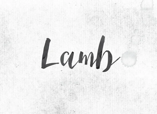 Lamm-konceptet målade bläck Word och tema — Stockfoto