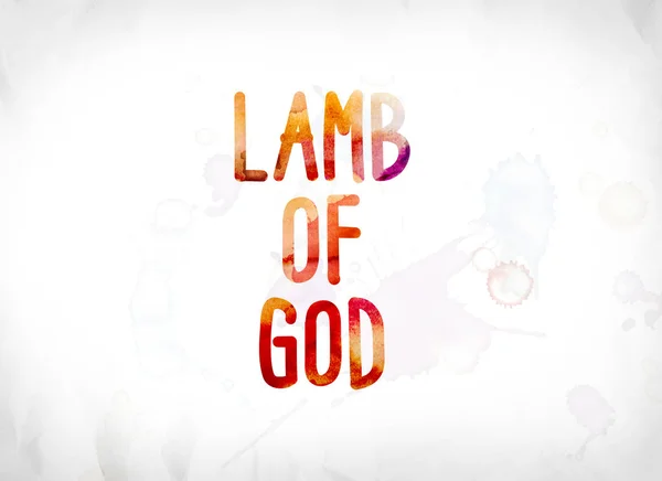Sulu Boya Word Art boyalı lamb of God kavramı — Stok fotoğraf