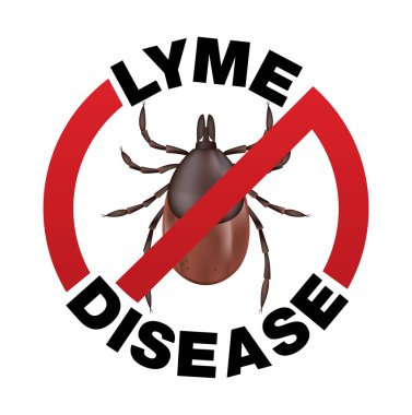 Lyme Disease Tick Bite Icon clipart