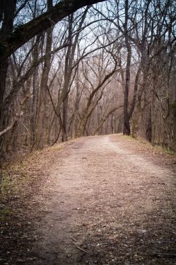 Çakıl yürüyüş ve bisiklet yolu ormandaki