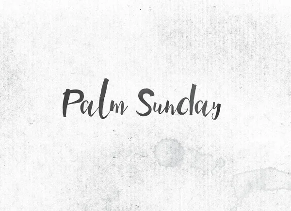 Пальмова неділя концепція пофарбована чорнило слово і тема — стокове фото