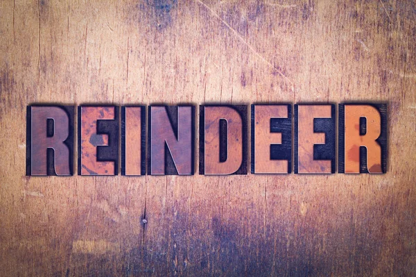 Reindeer Theme Letterpress Word on Wood Background — Stock Photo, Image