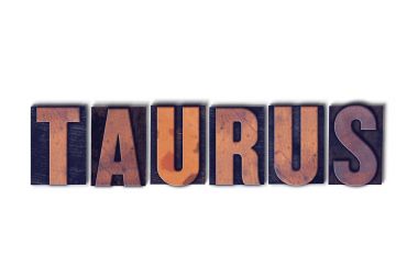 Tipo Word izole Toros kavramı