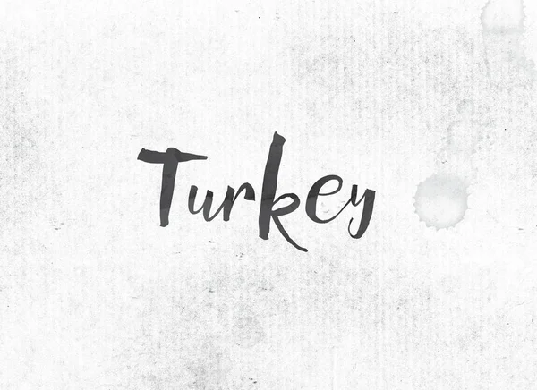 Turkey Concept Painted Ink Word and Theme