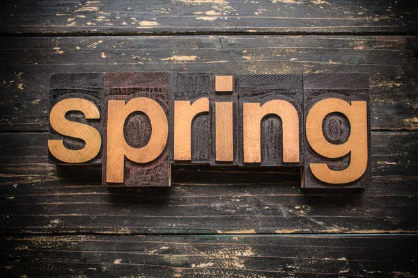 Ordet Spring Skrivet Vintage Trä Brevpress Typ Vintage Rustik Bakgrund — Stockfoto