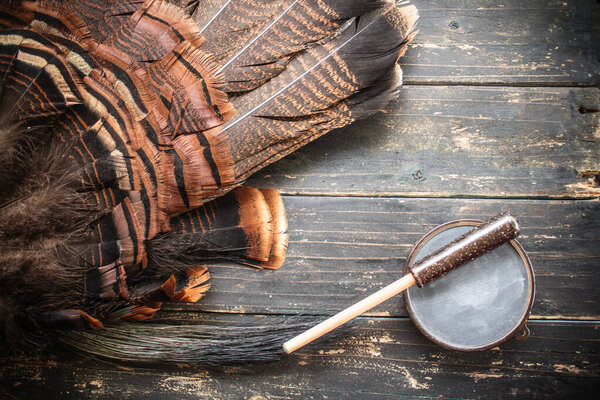 An eastern wild turkey hunting background.