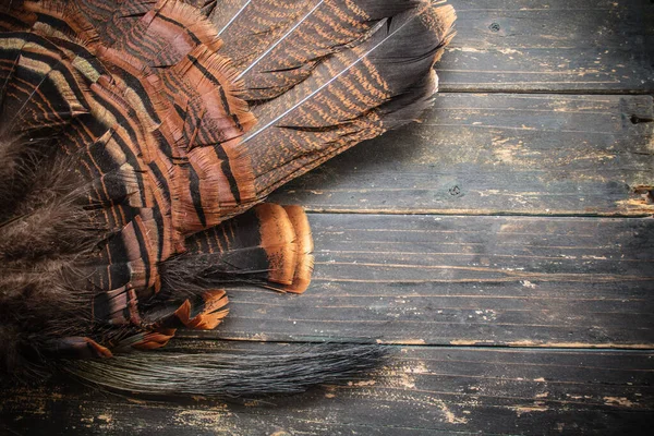 Eastern Wild Turkey Tail Feathers Beard Wooden Background — Stock Photo, Image