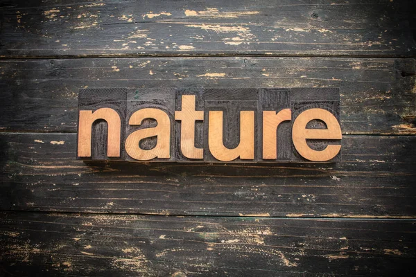 Das Wort Nature Buchdruckbuchstaben Aus Vintage Holz Auf Rustikalem Hintergrund — Stockfoto