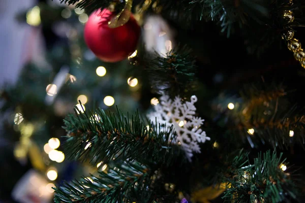 Kerstmis Nieuwjaar Dennenboom Achtergrond — Stockfoto