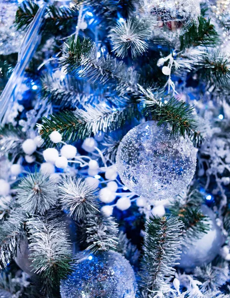 Natale Capodanno Sfondo Abete Blu — Foto Stock