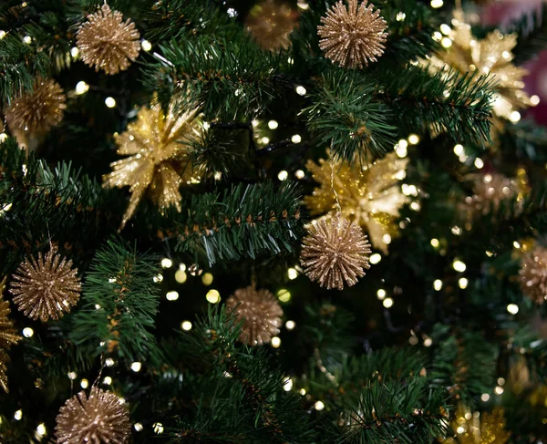 クリスマス 新年モミの木の背景 — ストック写真