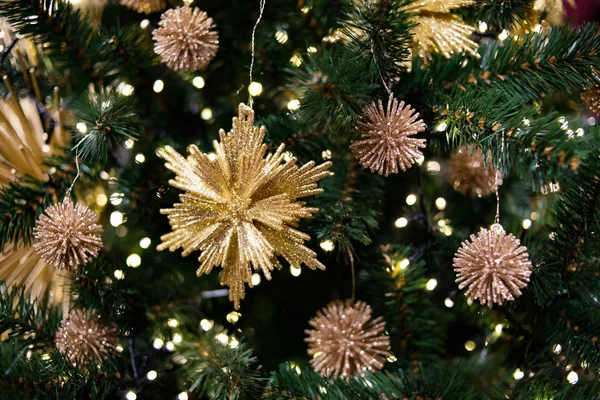 Noel Yeni Yıl Ağacı Geçmişi — Stok fotoğraf