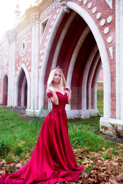 Принцеса Короні Червоній Сукні Фоні Замку Королева Казки — стокове фото
